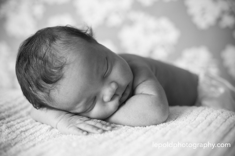 07 Newborn Portraits LepoldPhotography