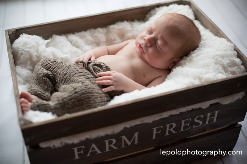 25-Newborn-Twins-LepoldPhotography1