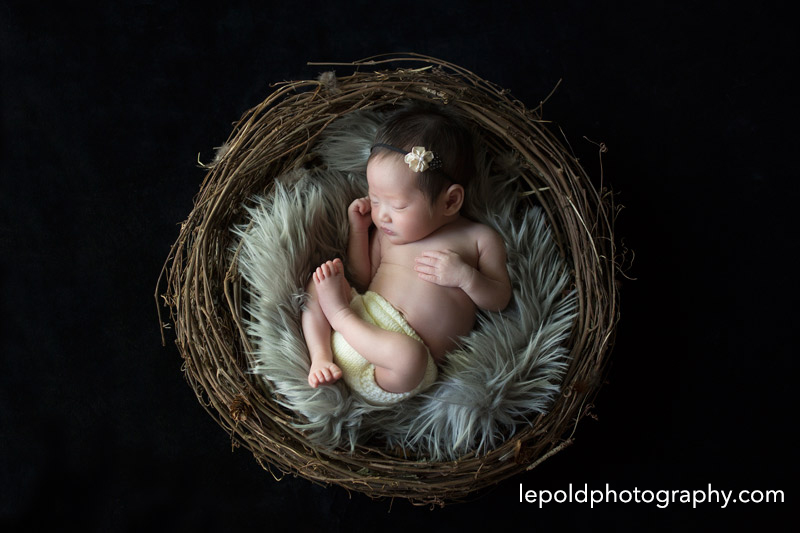 06 Newborn Photographer NOVA LepoldPhotography