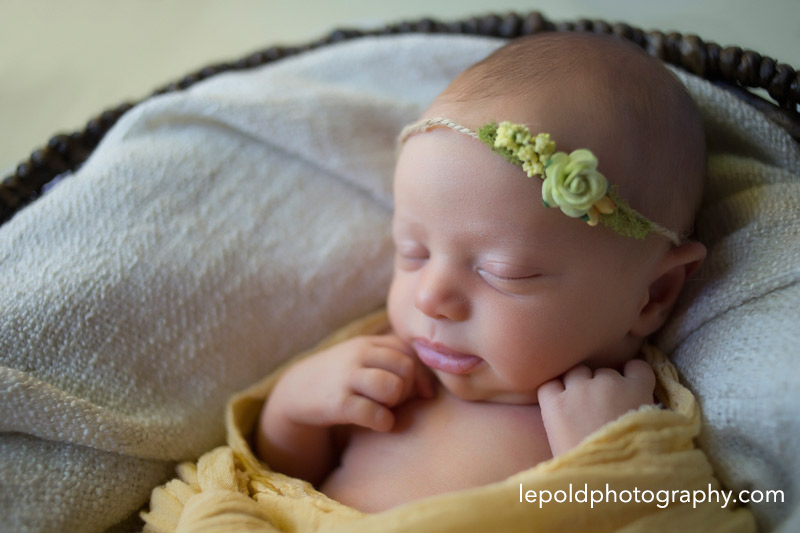 12 Fairfax-Newborn-Photographer Lepold-Photography
