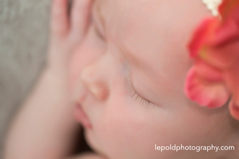 13 Fairfax-Newborn-Photographer Lepold-Photography