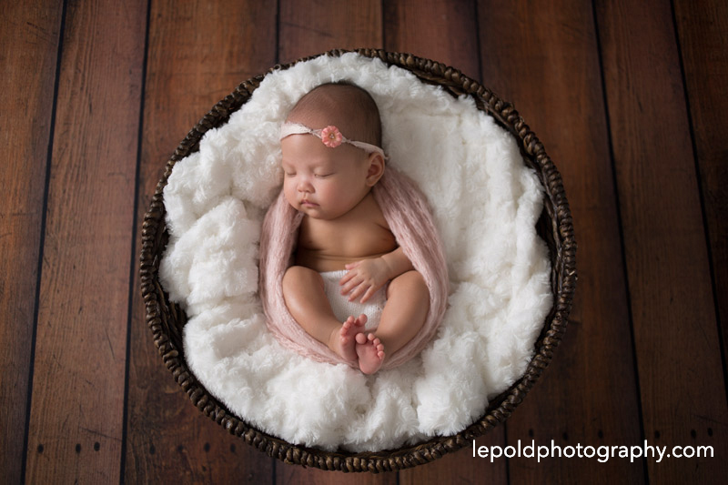 015-nova-newborn-photographer-lepold-photography