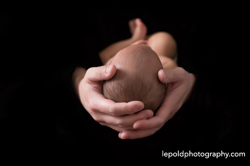 016-nova-newborn-photographer-lepold-photography