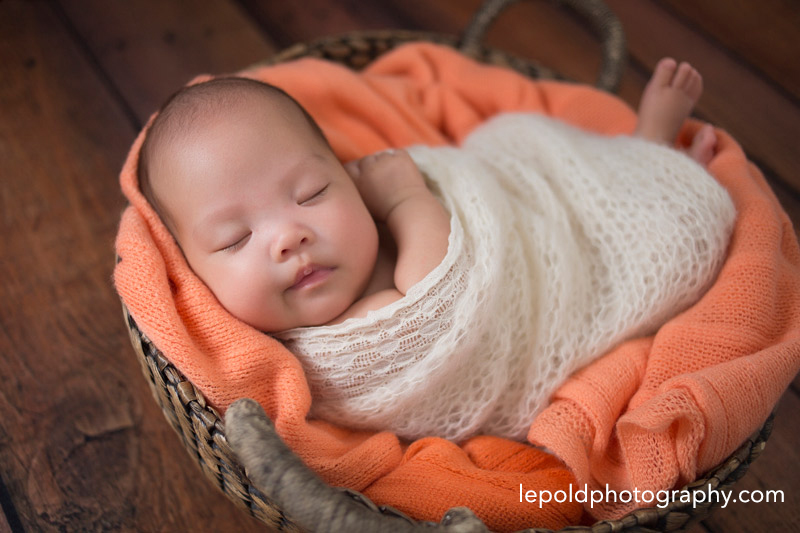 019-nova-newborn-photographer-lepold-photography