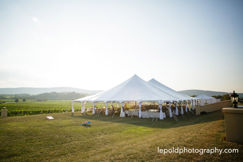 101-Breaux-Vineyard-Wedding-Lepold-Photography.jpg