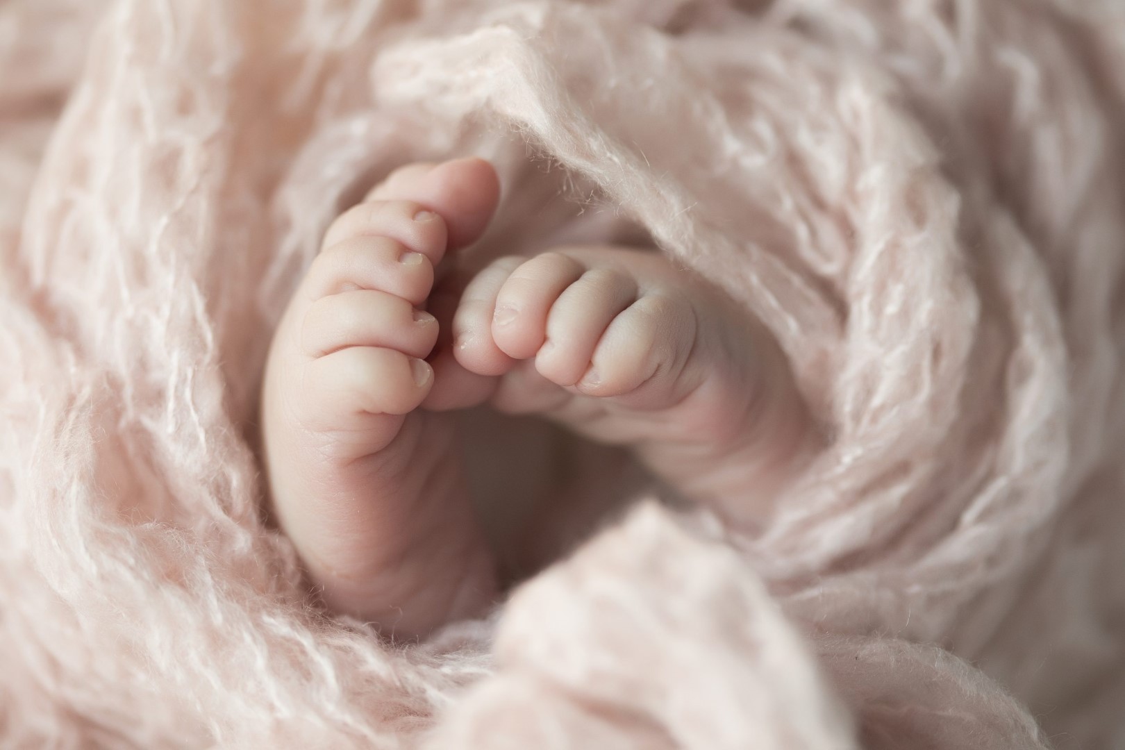 136-NOVA-Newborn-Photographer-Family-Photographer-PamelaLepoldPhotography-scaled.jpg