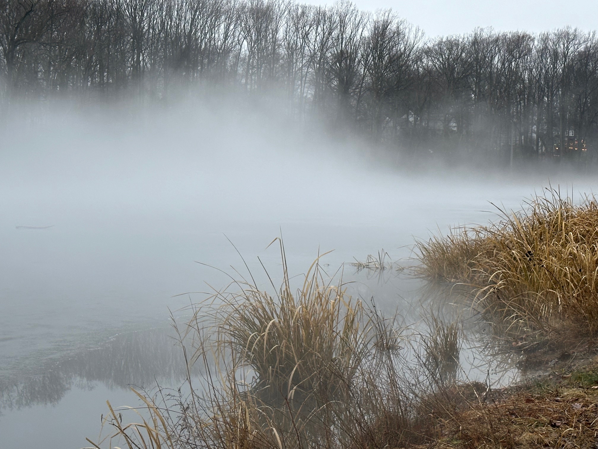 foggy morning at Woodglen Lake Park
